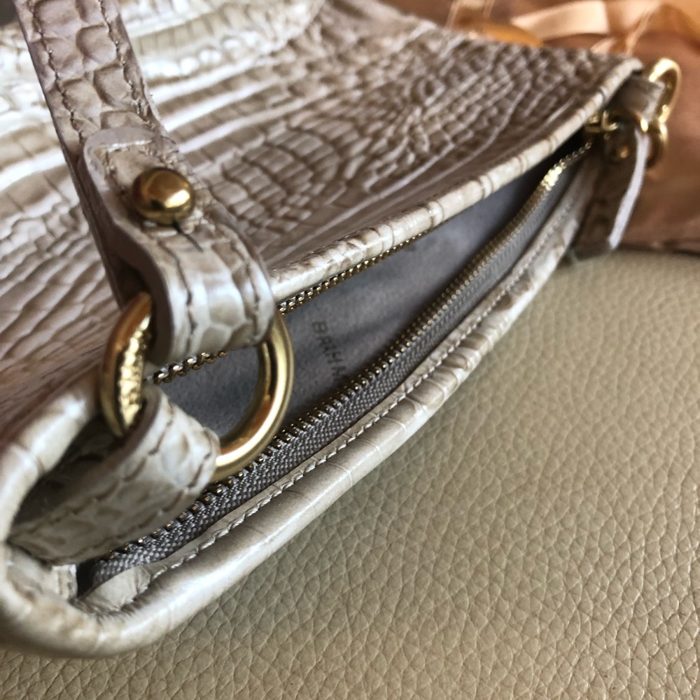 Mini Brahmin 🥂 - Picture 6 of 6